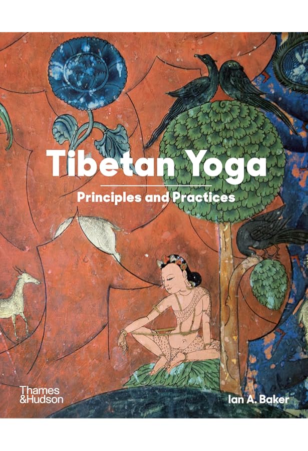 Amazon.com: The Dalai Lama's Secret Temple: Tantric Wall Paintings